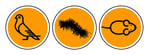 Header Logo PlaagdierPreventie Gorinchem