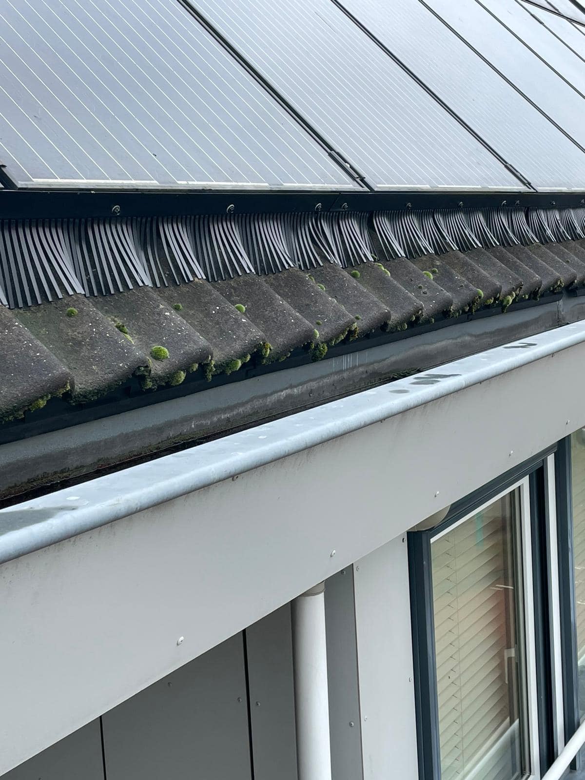 zonnepanelen-vogelwering1-1 zonnepanelen-vogelwering1-1