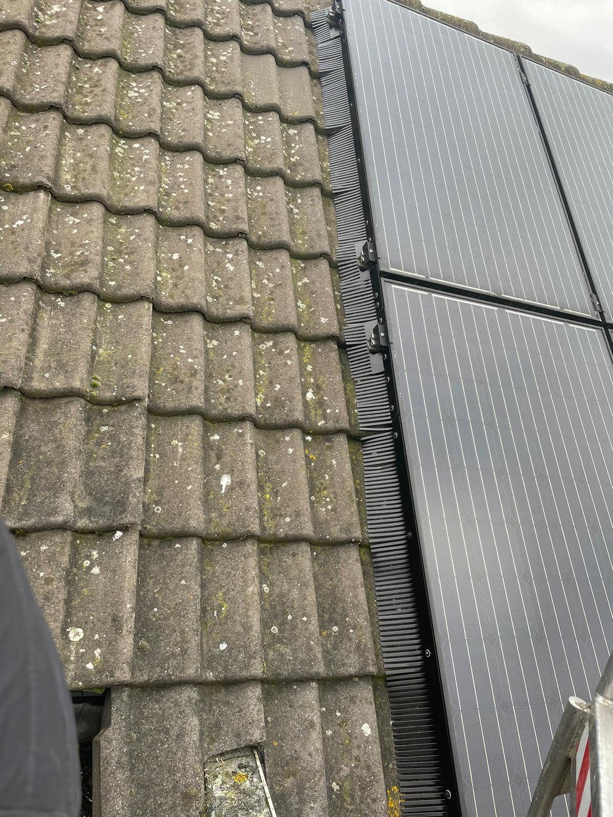 zonnepanelen-vogelwering2-1 zonnepanelen-vogelwering2-1